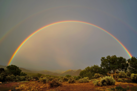 rainbow 50 lîste